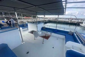 Katamarantur: oppdag Cefalù-kysten.