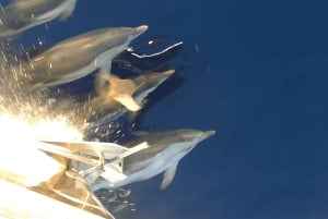 Catania: Båtutflykt med aperitif, prosecco och snorkling