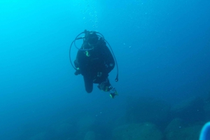 Catania : Diving for patented divers