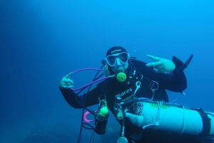 Catania : Diving for patented divers