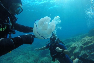 Catania : Diving for patented divers