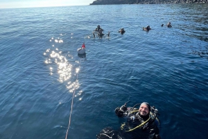 Catania : Diving for patented divers