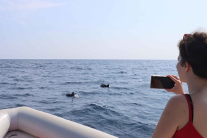 Catania: Zeilervaring met dolfijnen met Marecamp