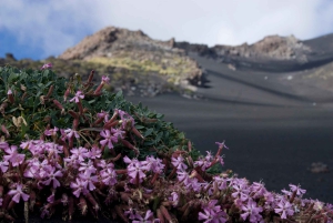 Catania: Caminhada no Etna pela manhã ou ao pôr do sol com túnel de lava e equipamento