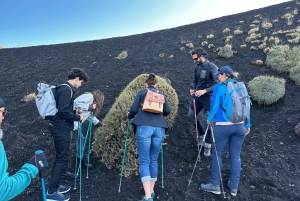 Catania: Caminhada no Etna pela manhã ou ao pôr do sol com túnel de lava e equipamento