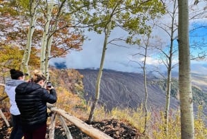 Catane : Tour de l'Etna en matinée avec dégustations et prise en charge
