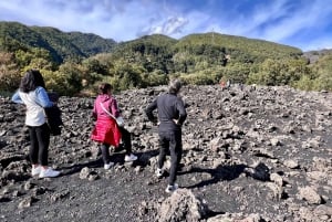 Catania: Excursión matinal al Etna con degustación y servicio de recogida