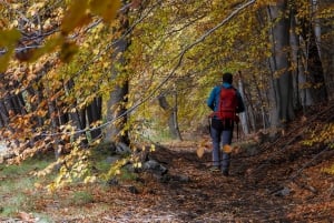 Catania: Excursão matinal ao Etna com transfer