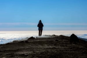 Catania: Excursão matinal ao Etna com transfer