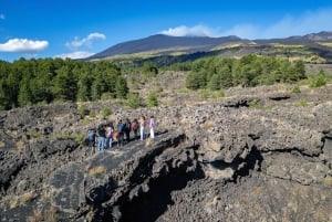 Catania: Excursão matinal ao Etna com transfer