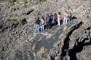 Catania: Excursão matinal ao Etna com transfer