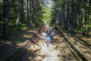 Catania: Excursão matinal ao Etna com transfer