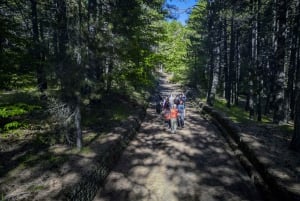 Catania: Excursão matinal ao Etna com transfer