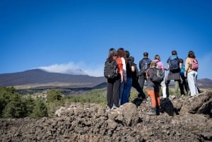 Catania: Excursão matinal ao Etna com transfer