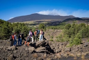 Catania: Excursão matinal ao Etna com transfer