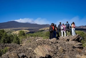 Catania: Excursão matinal ao Etna com transfer