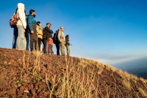 Catania: Excursão matinal ao Etna com transfer