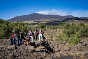 Catania: Morgontur till Etna med transfer