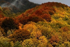 Catania: Morgontur till Etna med transfer