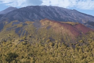 Catania: Morgontur till Etna med transfer