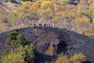 Catania: Morgontur till Etna med transfer