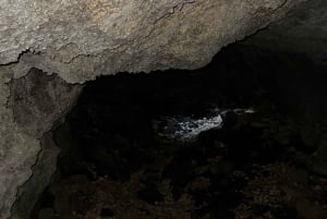 Catania: Morgontur till Etna med transfer