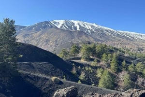 Catania: Morgontur till Etna med transfer