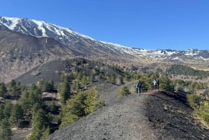 Catania: Morgontur till Etna med transfer