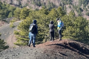 Catania: Morgontur till Etna med transfer