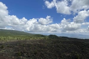 Catania: Morgontur till Etna med transfer