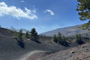 Catania: Morgontur till Etna med transfer