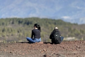 Catania: Morgontur till Etna med transfer