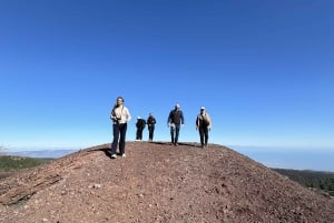 Catania: Morgontur till Etna med transfer