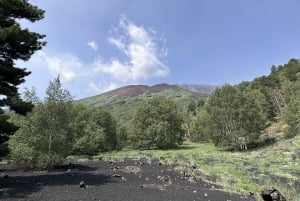 Catania: Morgontur till Etna med transfer