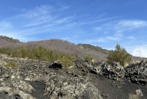 Catania: Morgontur till Etna med transfer