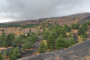 Catania: Morgontur till Etna med transfer