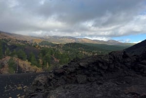 Catania: Morgontur till Etna med transfer