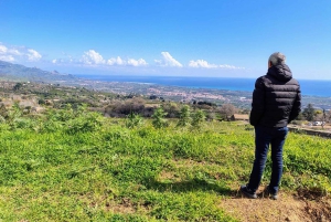 Catania: Etna South Wine & Sicilian Delights Tour