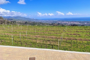 Catania: Etna South Wine & Sicilian Delights Tour