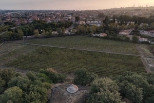 Catânia: Adega Urbana do Etna Almoço Siciliano com Degustação de Vinhos