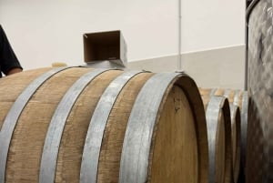 Catania: Etna vinkultur og kulinarisk opplevelse