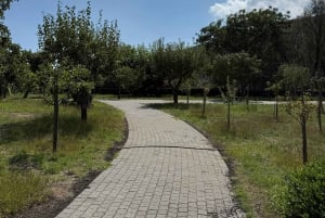 Catania: Etna vinkultur og kulinarisk opplevelse