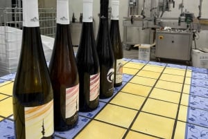 Catania: Etna vinkultur og kulinarisk opplevelse