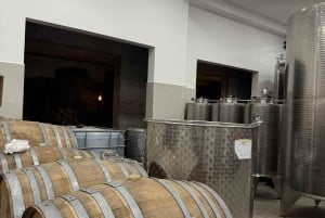 Catania: Etna vinkultur og kulinarisk opplevelse