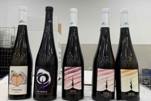 Catania: Etna vinkultur og kulinarisk opplevelse