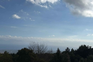 Catane : Visite œnologique de l’Etna et expérience culinaire