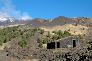 Catania: Full Circuit of Etna in MTB