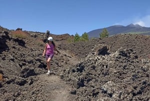 Catânia: Visita guiada ao Etna com visita a uma fazenda e degustação de alimentos