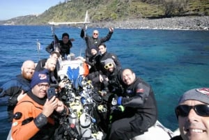 Catania: Gulf Scuba Diving Tour with Marine Biologist