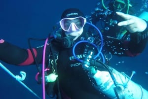 Catania: Gulf Scuba Diving Tour with Marine Biologist
